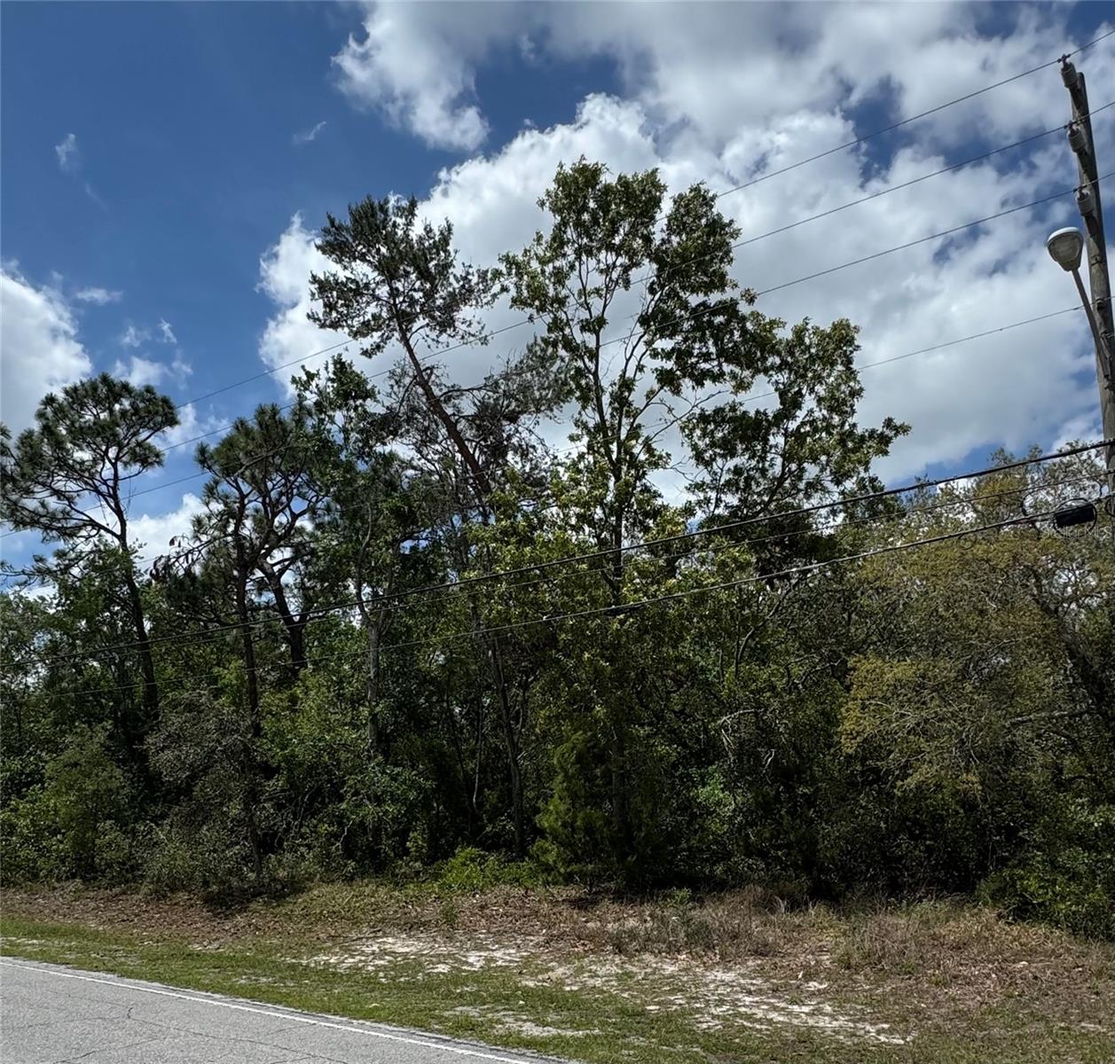 2185 Waterfall Dr, Spring Hill, FL 34608 photo