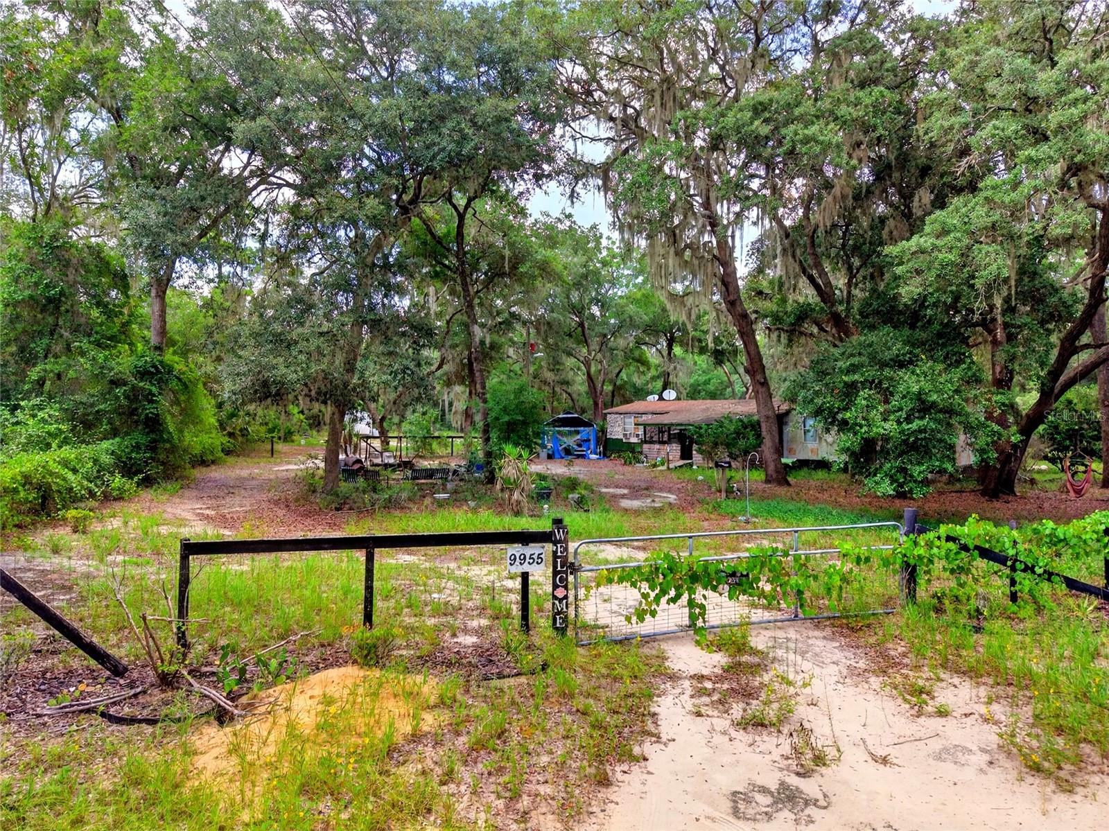 9955 SE 160 Ave, Ocklawaha, FL 32179 photo