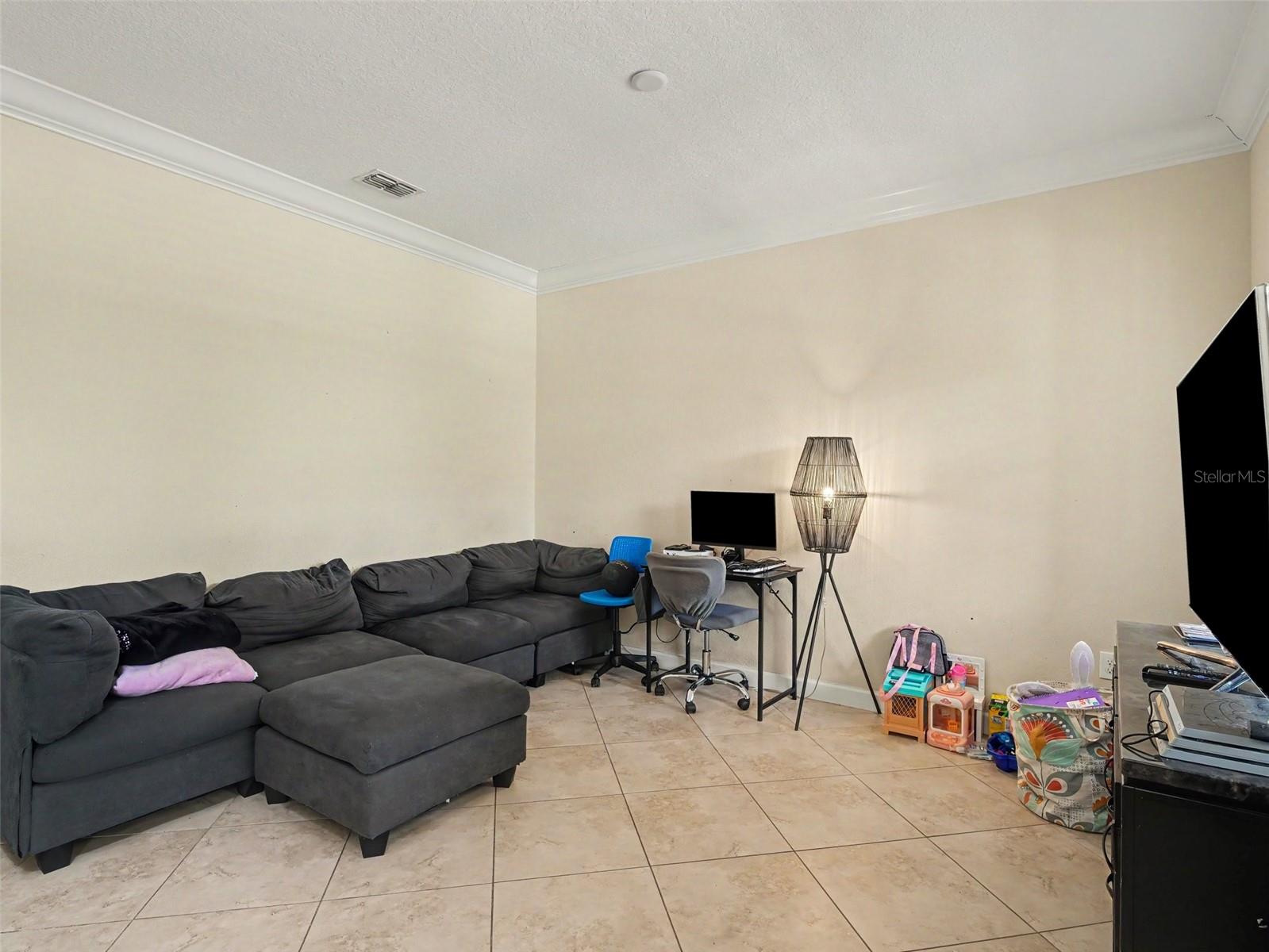 12027 Cardinal Flower Dr, Riverview, FL 33579 photo