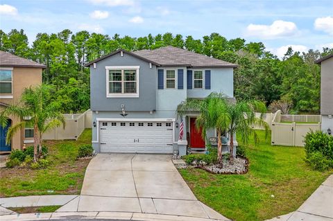Single Family Residence in HUDSON FL 13295 MARBLE SANDS COURT.jpg