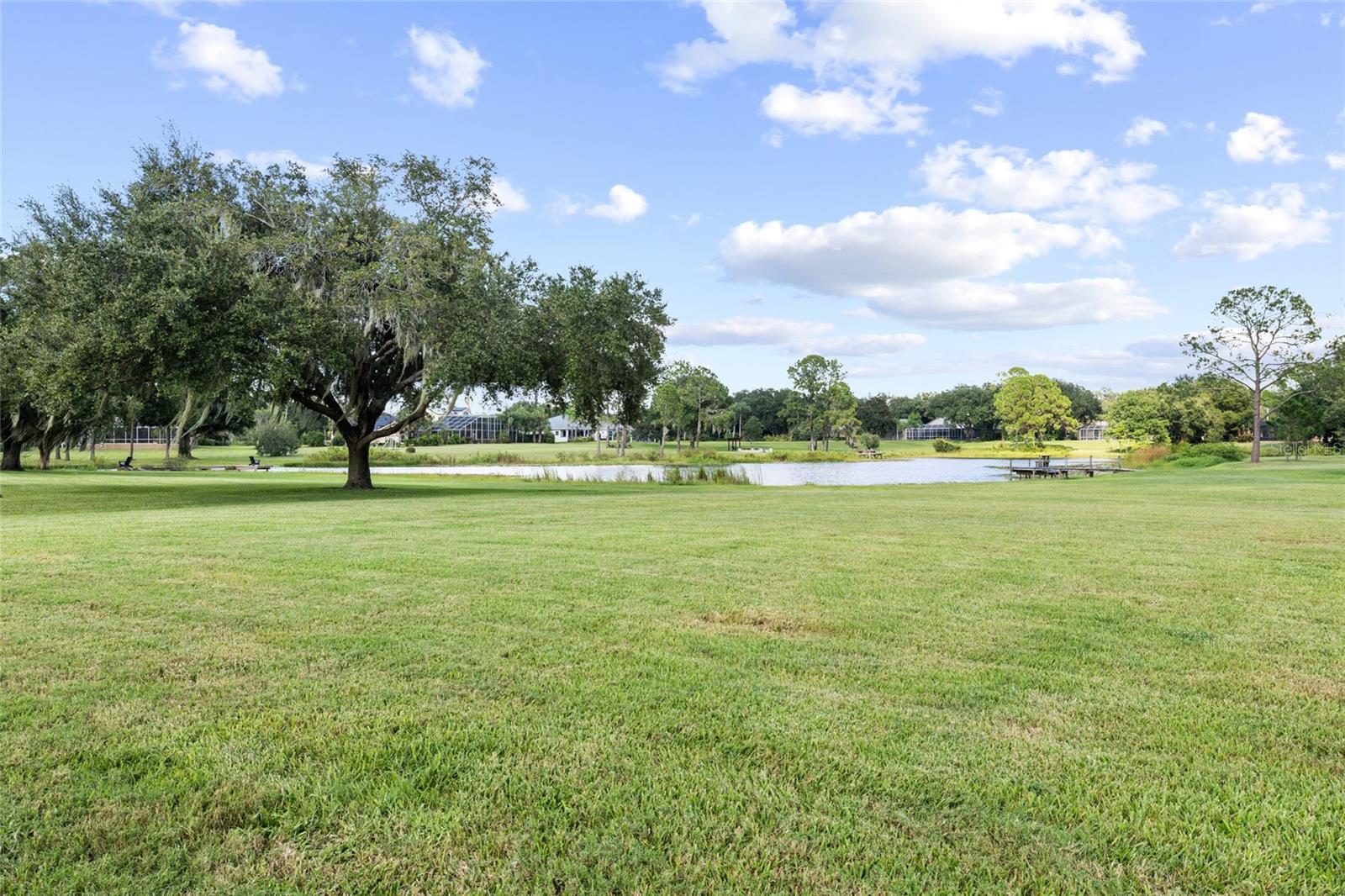 17825 Simms Rd, Odessa, FL 33556 photo