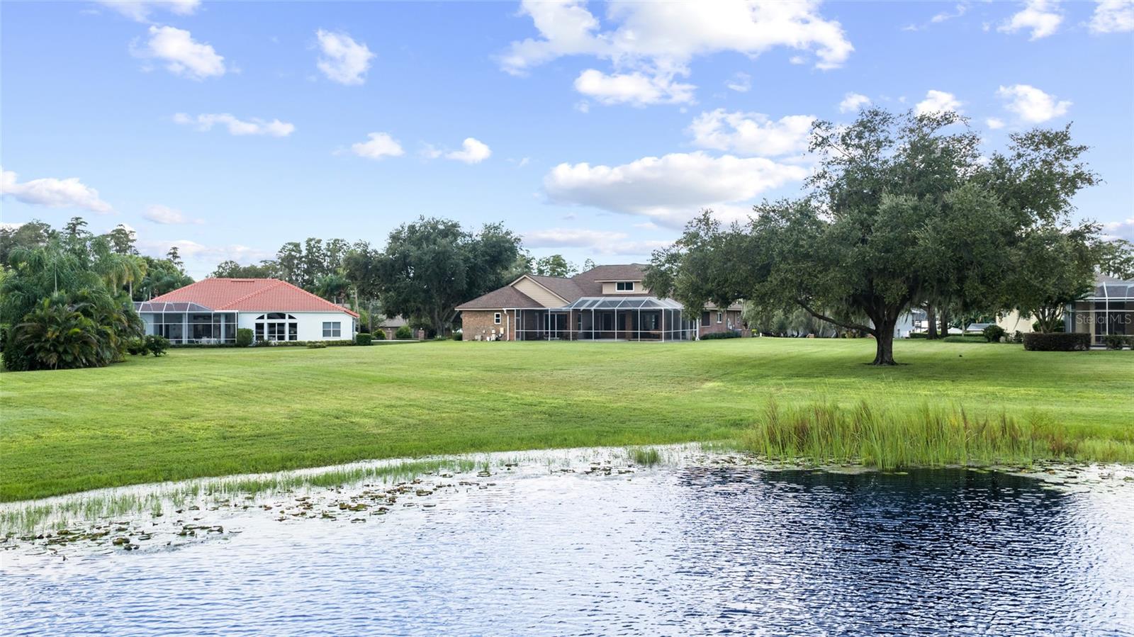 17825 Simms Rd, Odessa, FL 33556 photo