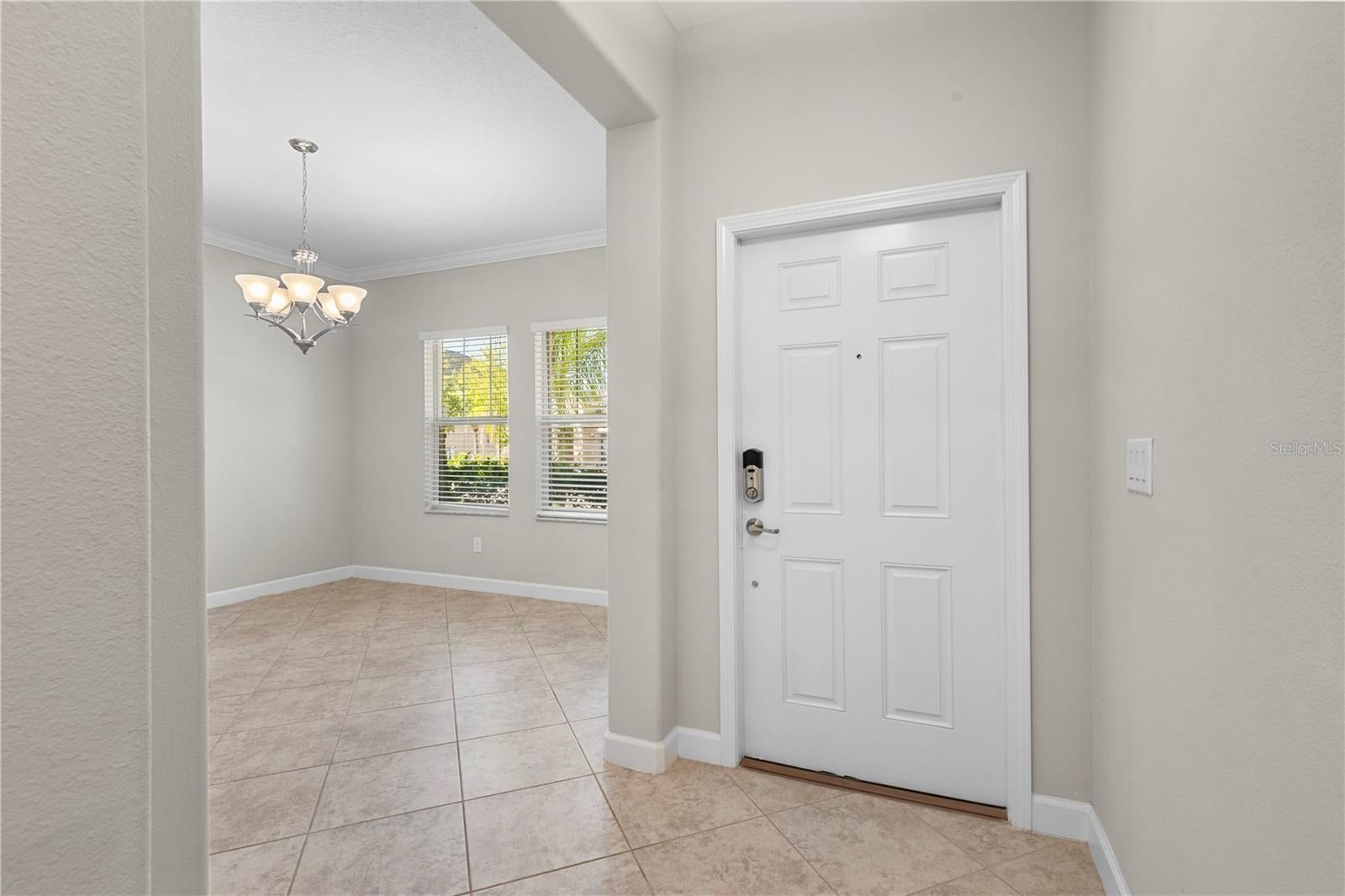 3147 Calvano Dr, Land O Lakes, FL 34639 photo