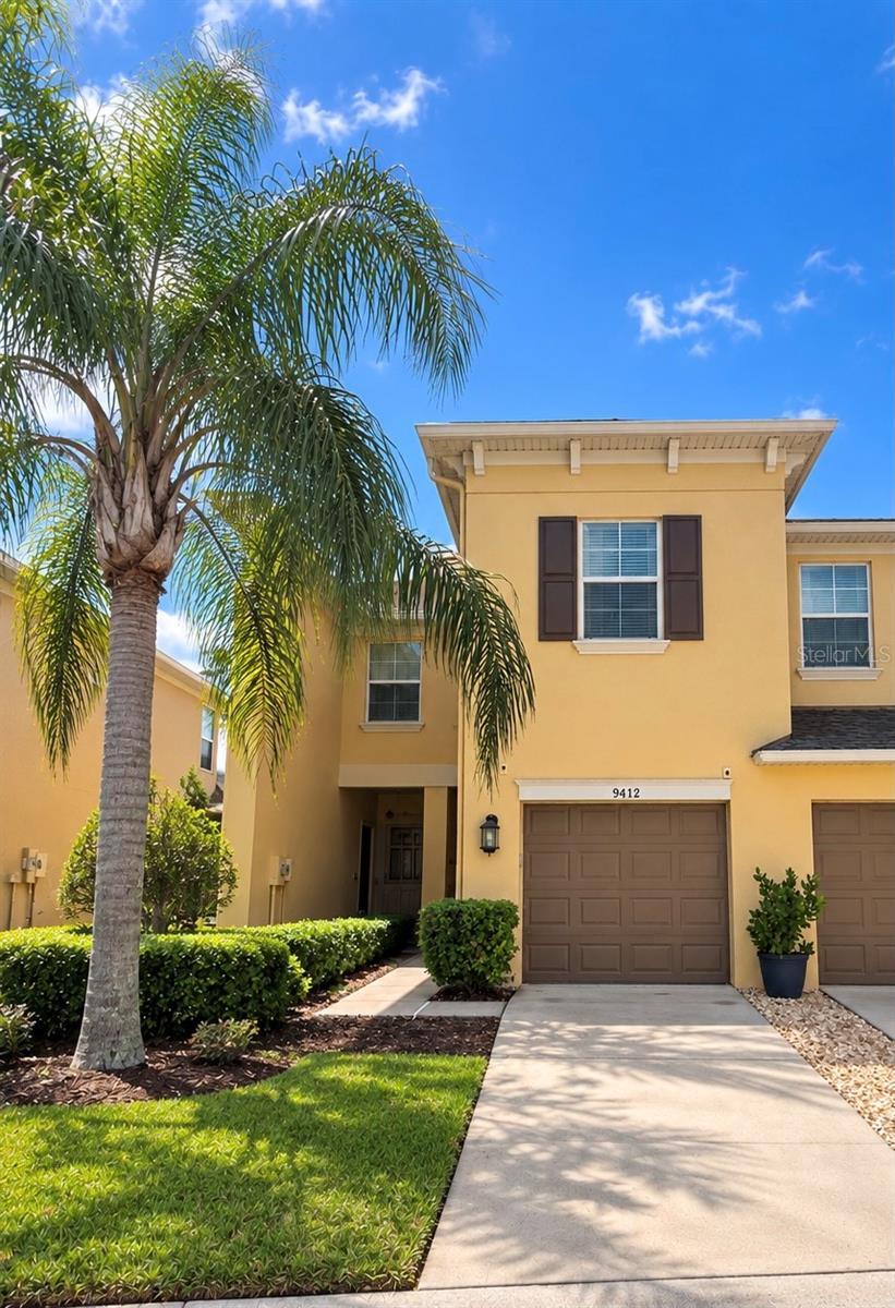 9412 Trumpet Vine Loop, Trinity, FL 34655 photo
