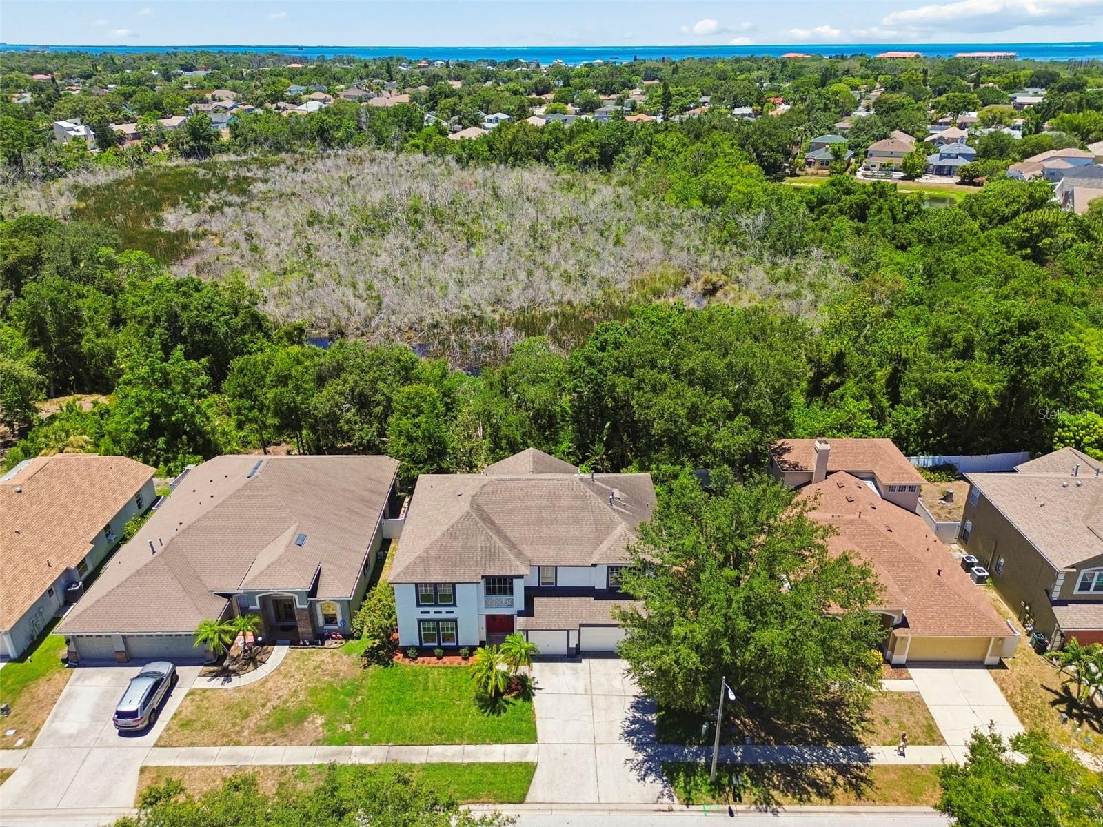 1828 Longview Ln, Tarpon Springs, FL 34689 photo