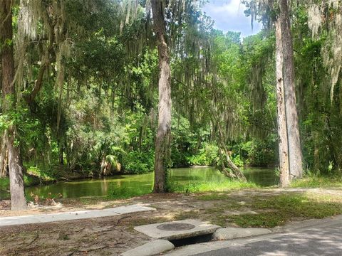  in KATHLEEN FL 44150 COUNTY ROAD 54 8.jpg