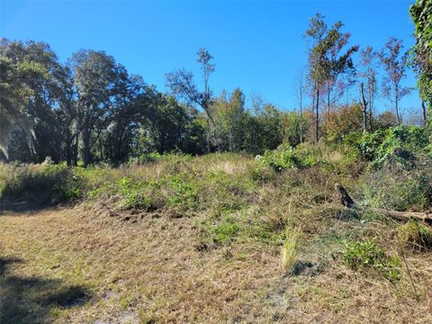  in KATHLEEN FL 44150 COUNTY ROAD 54 19.jpg