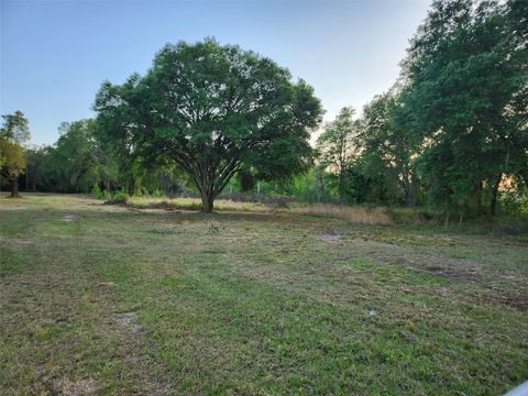  in KATHLEEN FL 44150 COUNTY ROAD 54 5.jpg