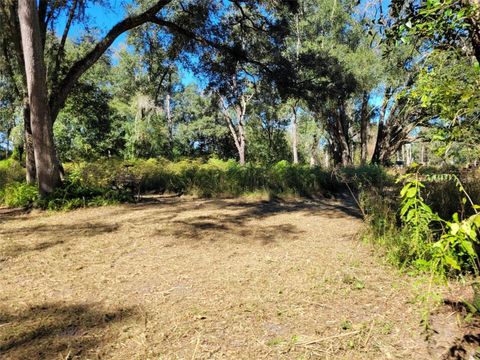  in KATHLEEN FL 44150 COUNTY ROAD 54 25.jpg