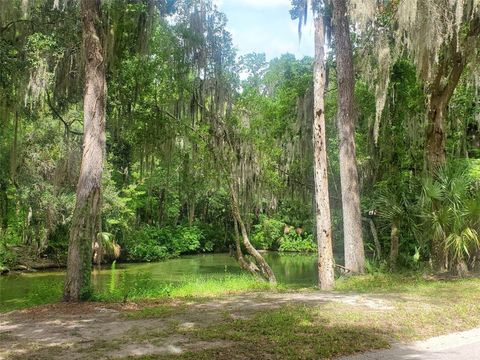  in KATHLEEN FL 44150 COUNTY ROAD 54 9.jpg