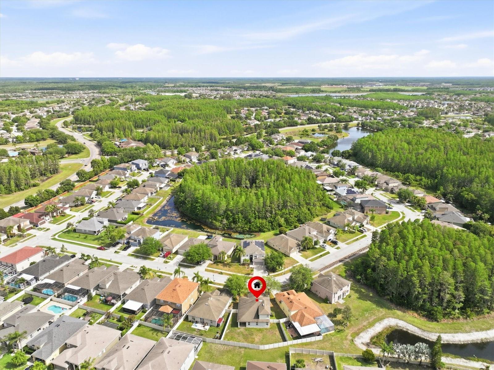 3036 Gianna Way, Land O Lakes, FL 34638 photo