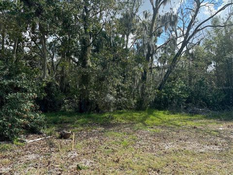  in HUDSON FL 0 KOLB PLACE.jpg