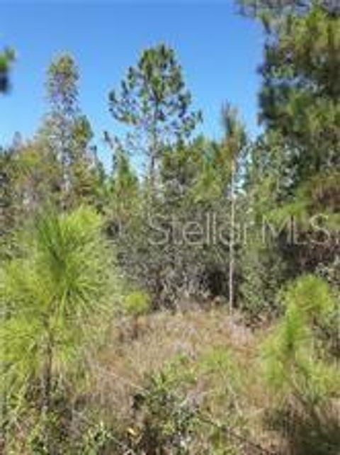  in CLERMONT FL SALYERS ROAD.jpg