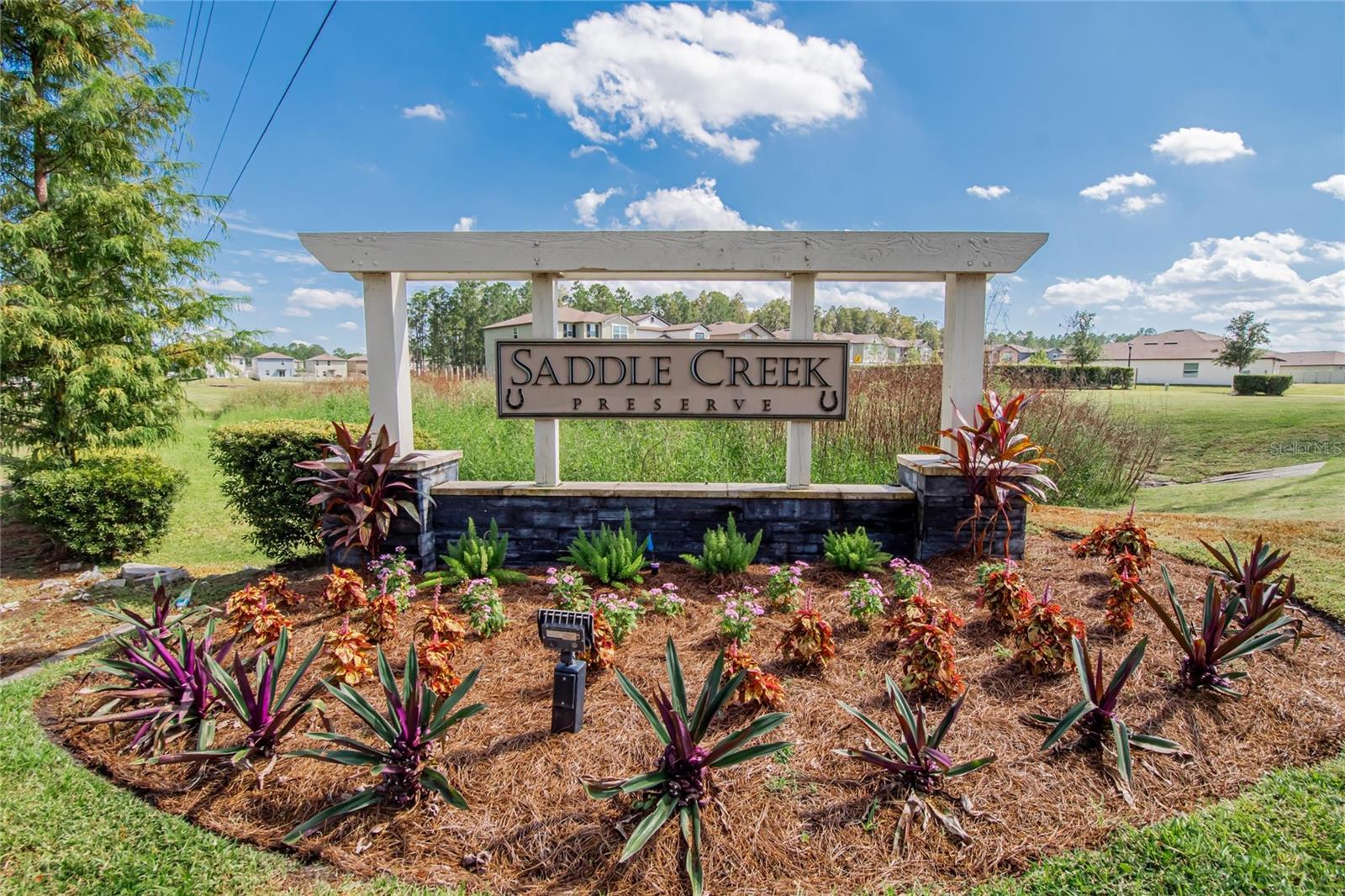 1748 Red Loop, Lakeland, FL 33801 photo