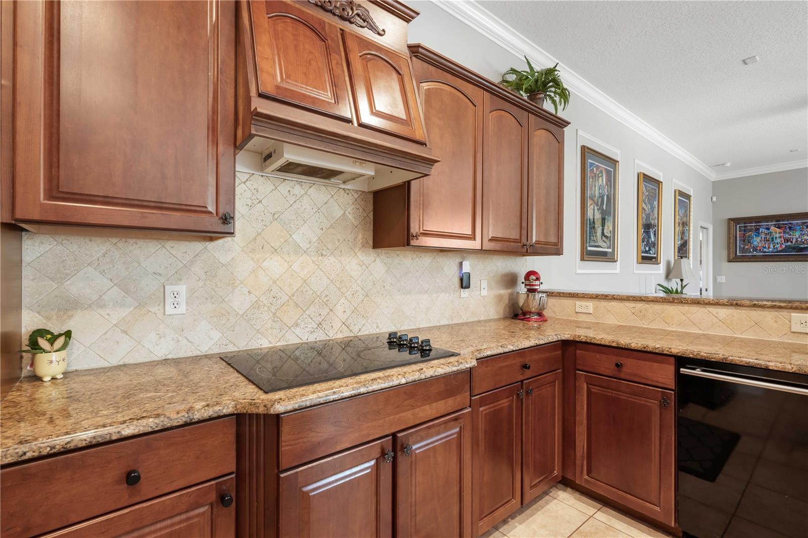 Single Family Residence in DADE CITY FL 9916 PREAKNESS STAKES WAY 18.jpg