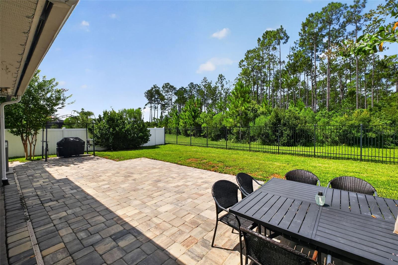 161 S Coopers Hawk Way, Palm Coast, FL 32164 photo