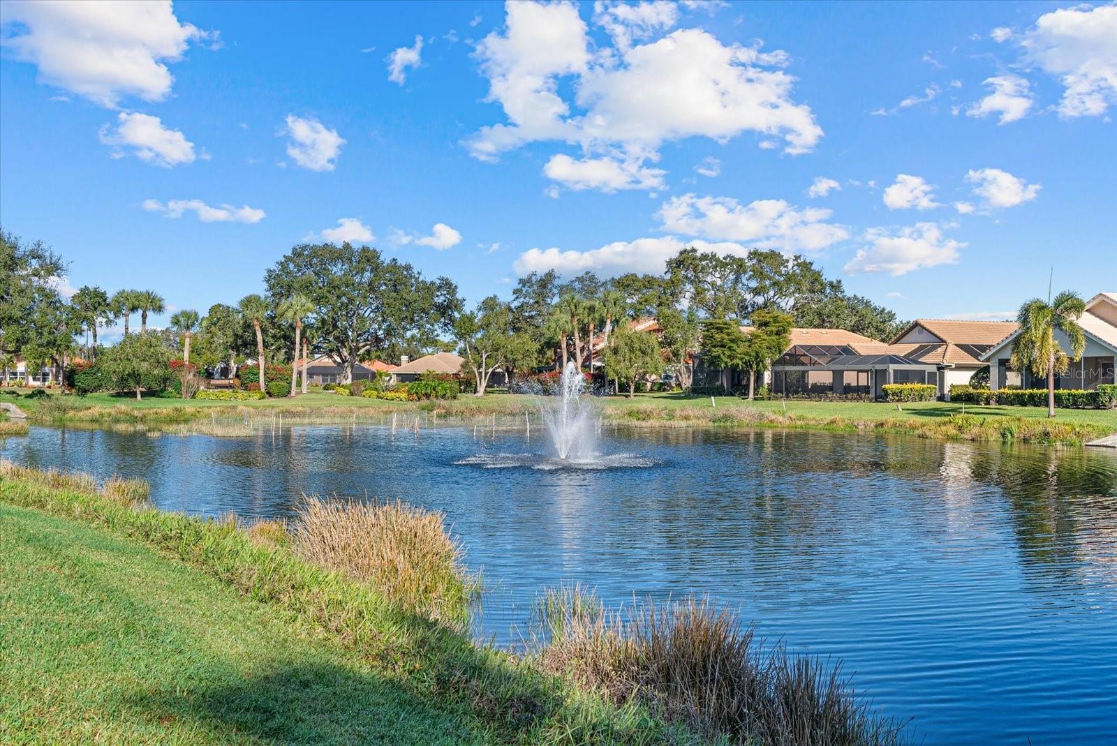 4439 Deer Trail Blvd, Sarasota, FL 34238 photo