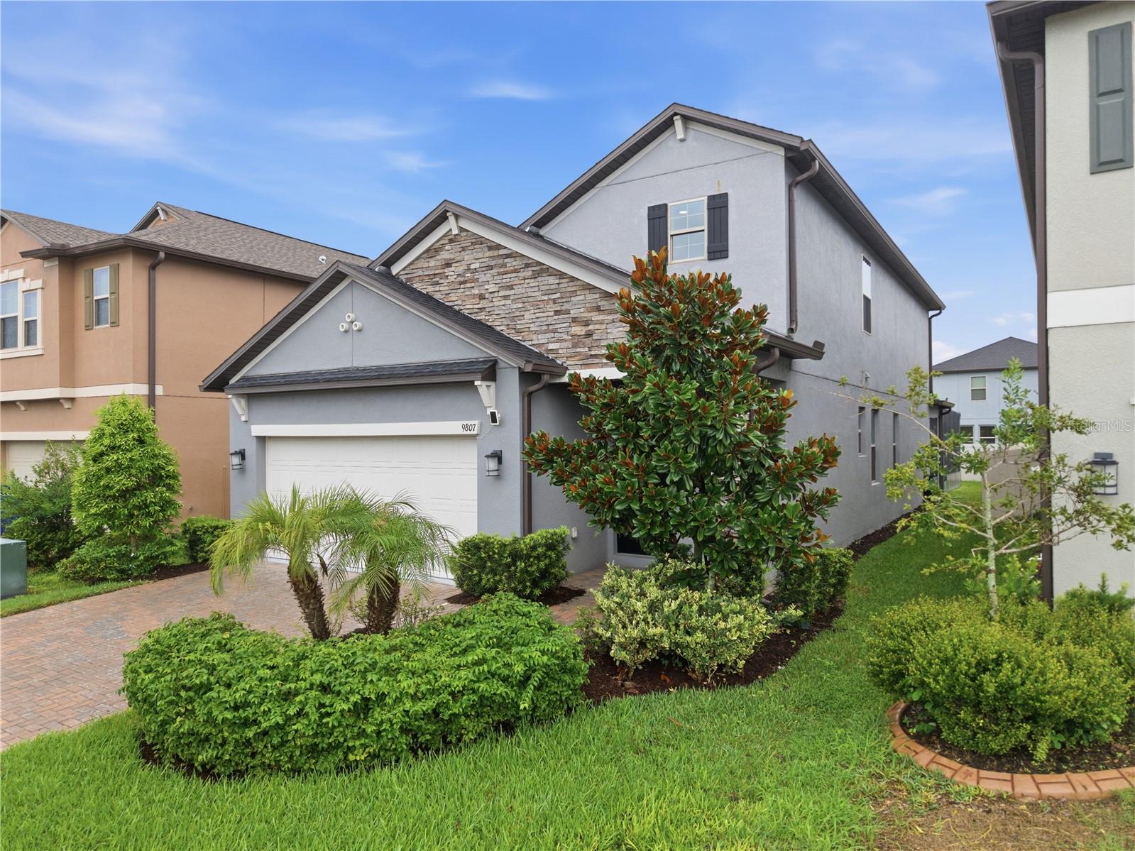 9807 Wild Begonia Loop, Land O Lakes, FL 34637 photo