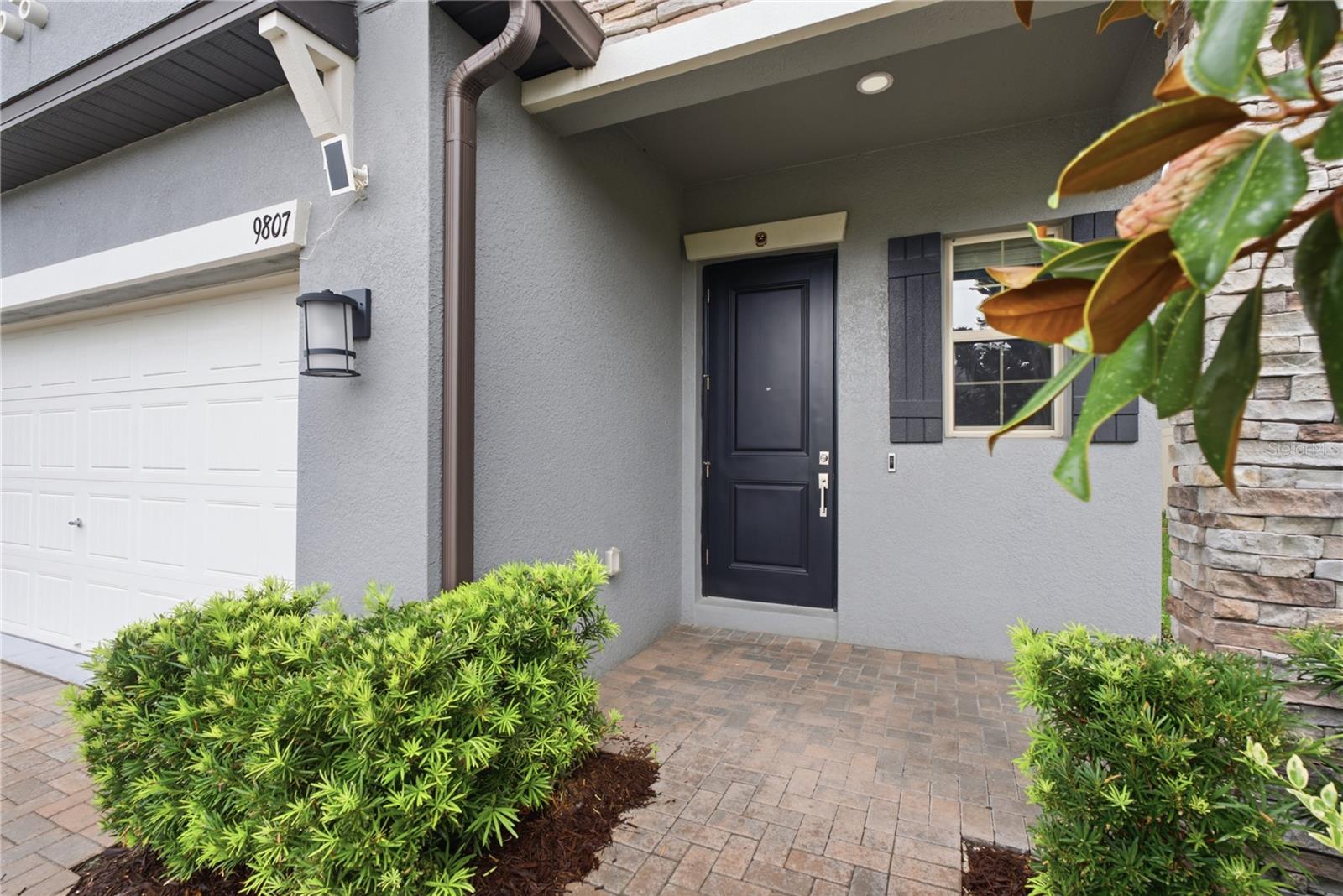 9807 Wild Begonia Loop, Land O Lakes, FL 34637 photo