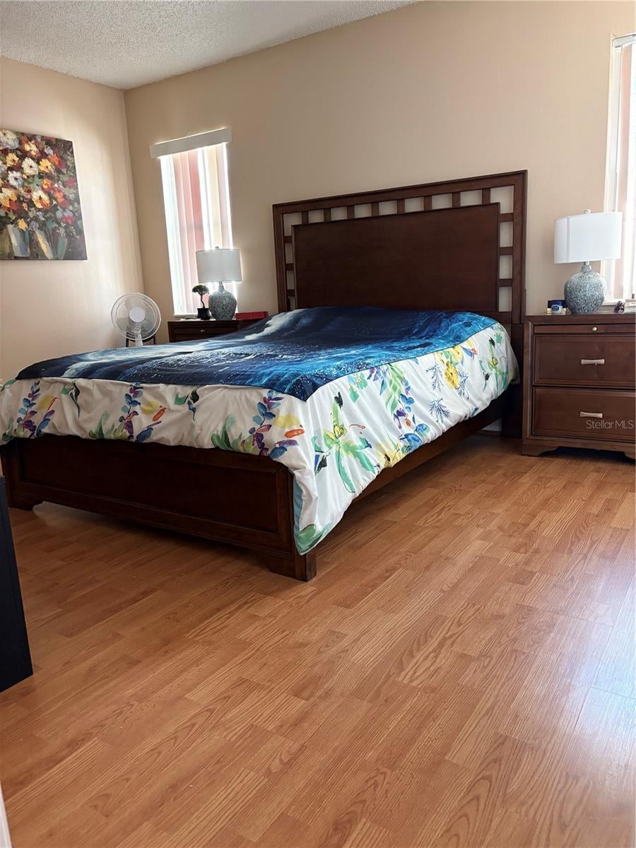 2564 Surrey Dr, Palm Harbor, FL 34684 photo