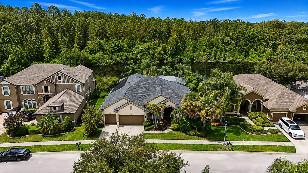1637 Abyss Dr, Odessa, FL 33556