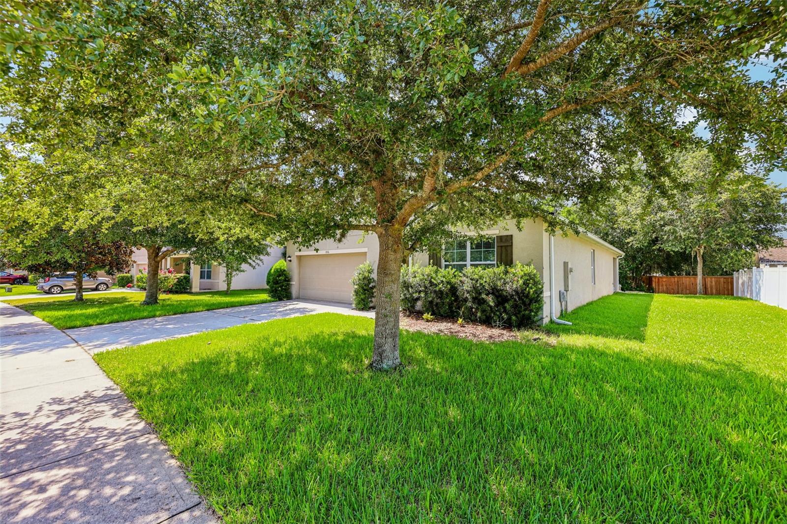 806 Grand Park Ct, Deland, FL 32724 photo