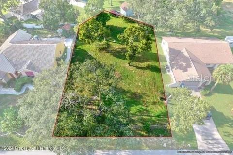 10067 Bedford, Spring Hill, FL 34608 photo