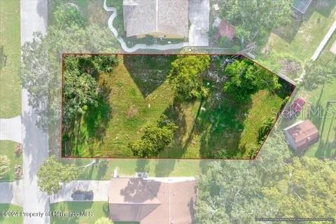 10067 Bedford, Spring Hill, FL 34608 photo
