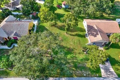 10067 Bedford, Spring Hill, FL 34608 photo
