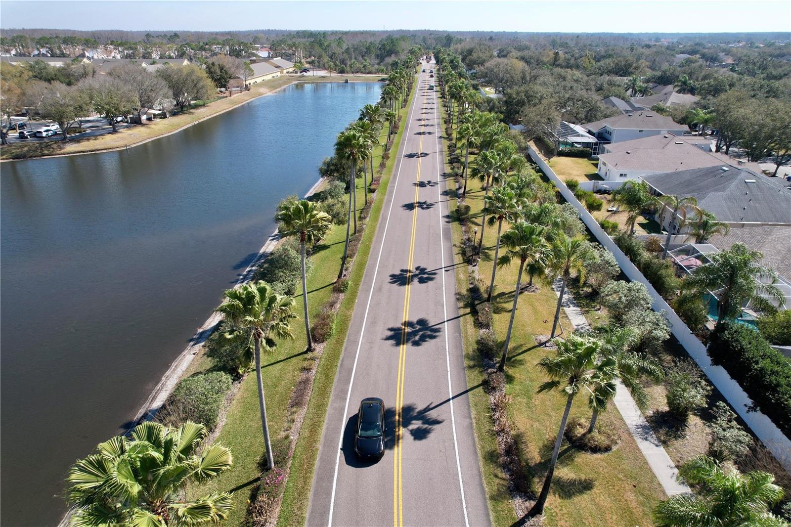 15246 Anguilla Isle Ave, Tampa, FL 33647 photo