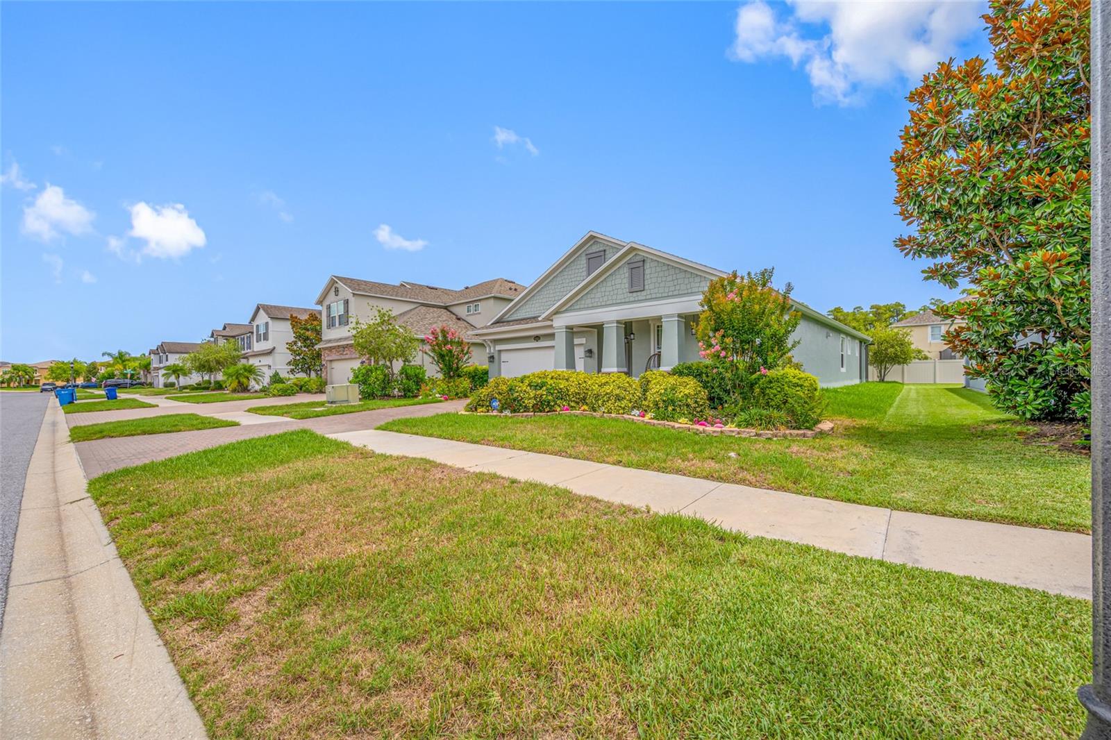 19382 Long Lake Ranch Blvd, Lutz, FL 33558 photo
