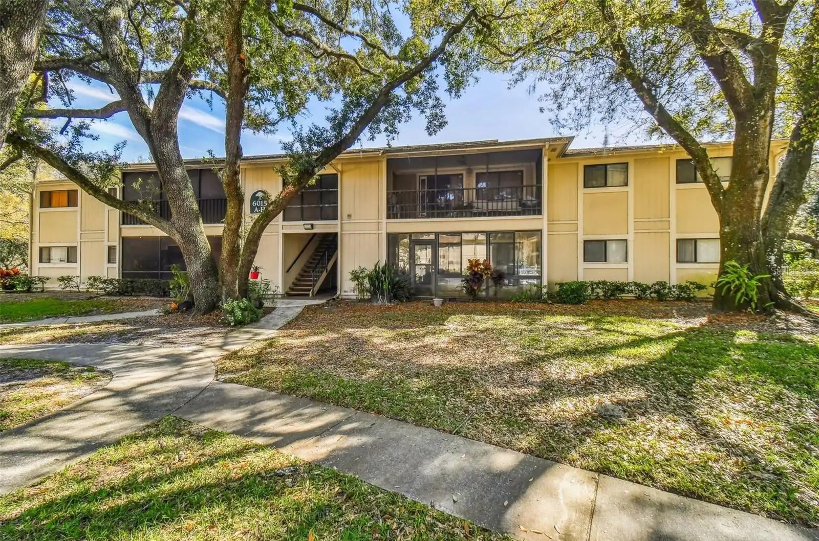 6015 Laketree Ln, Temple Terrace, FL 33617