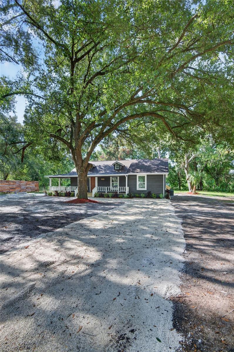 26314 Glenwood Dr, Wesley Chapel, FL 33544 photo