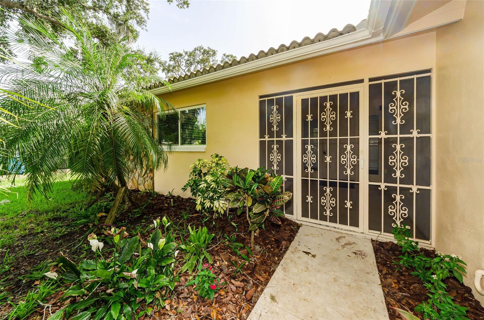 1529 E Dorchester Dr, Palm Harbor, FL 34684 photo