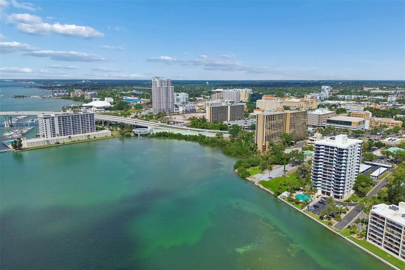 80 Rogers St #6 C, Clearwater, FL 33756 photo