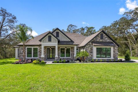 Single Family Residence in HUDSON FL 13704 OLDENBURG DRIVE.jpg