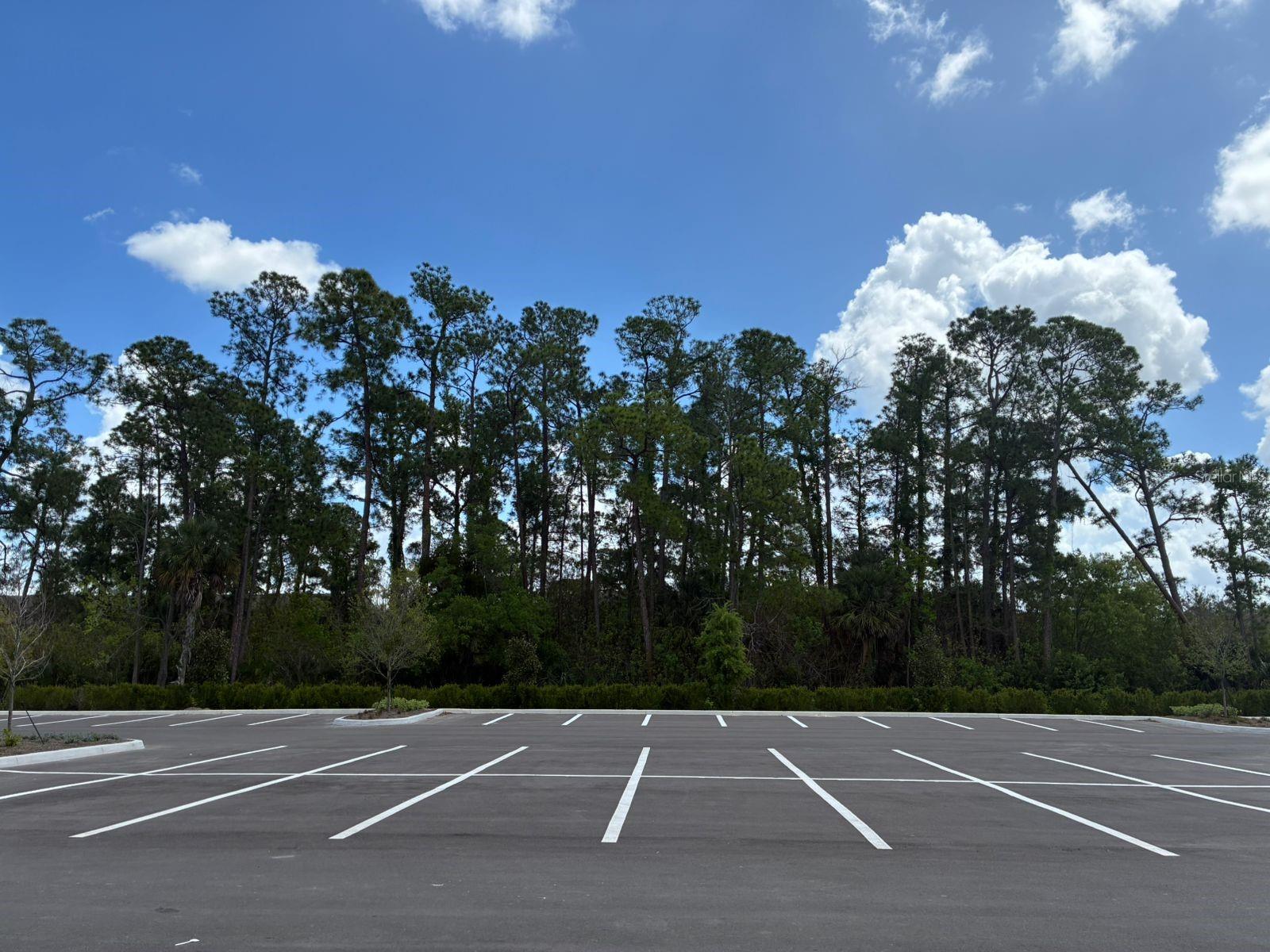 5587 Millenia Park Blvd #318, Orlando, FL 32839 photo