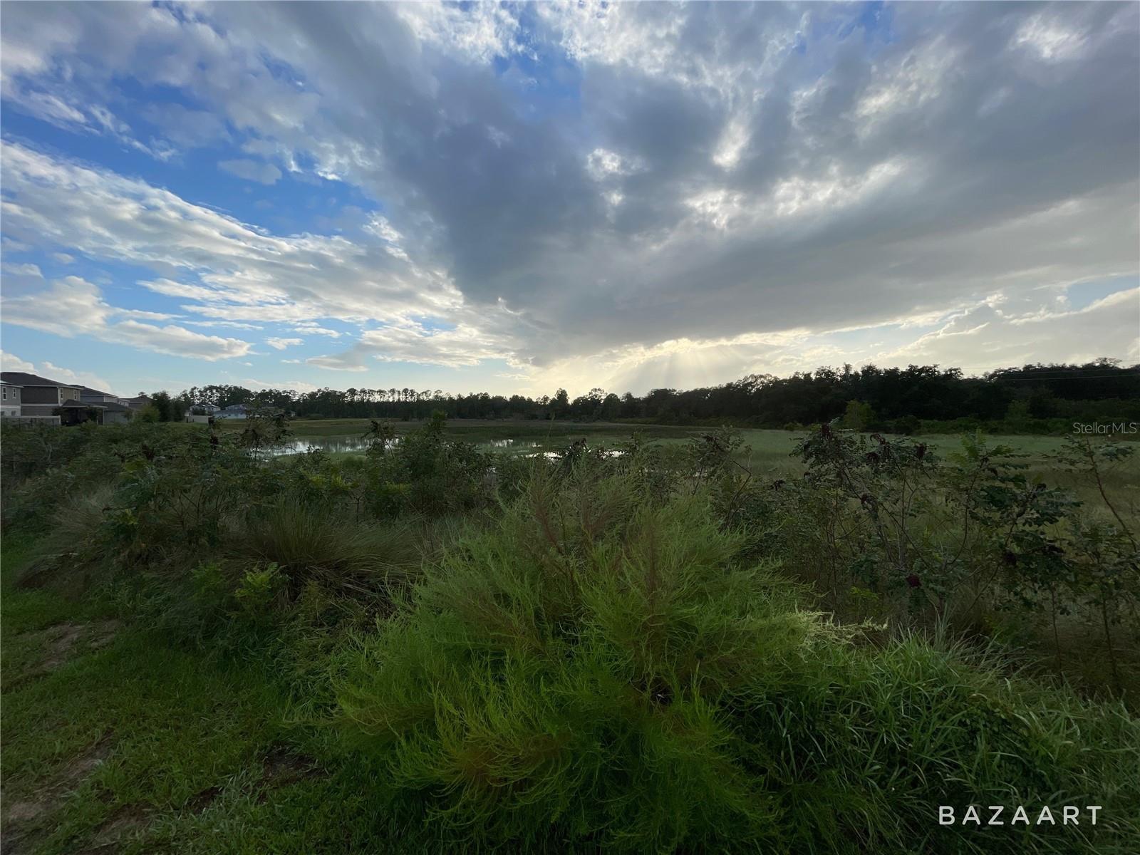 305 Preserve Pointe Blvd, Davenport, FL 33837 photo
