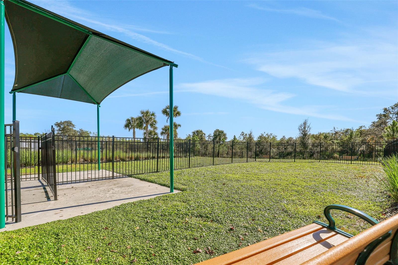 13350 Peaceful Melody Dr, Winter Garden, FL 34787 photo