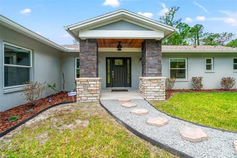 Single Family Residence in WESLEY CHAPEL FL 28628 BENNINGTON DRIVE.jpg