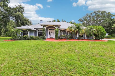 Single Family Residence in LAKELAND FL 10537 SMOKIE CREEK LANE.jpg