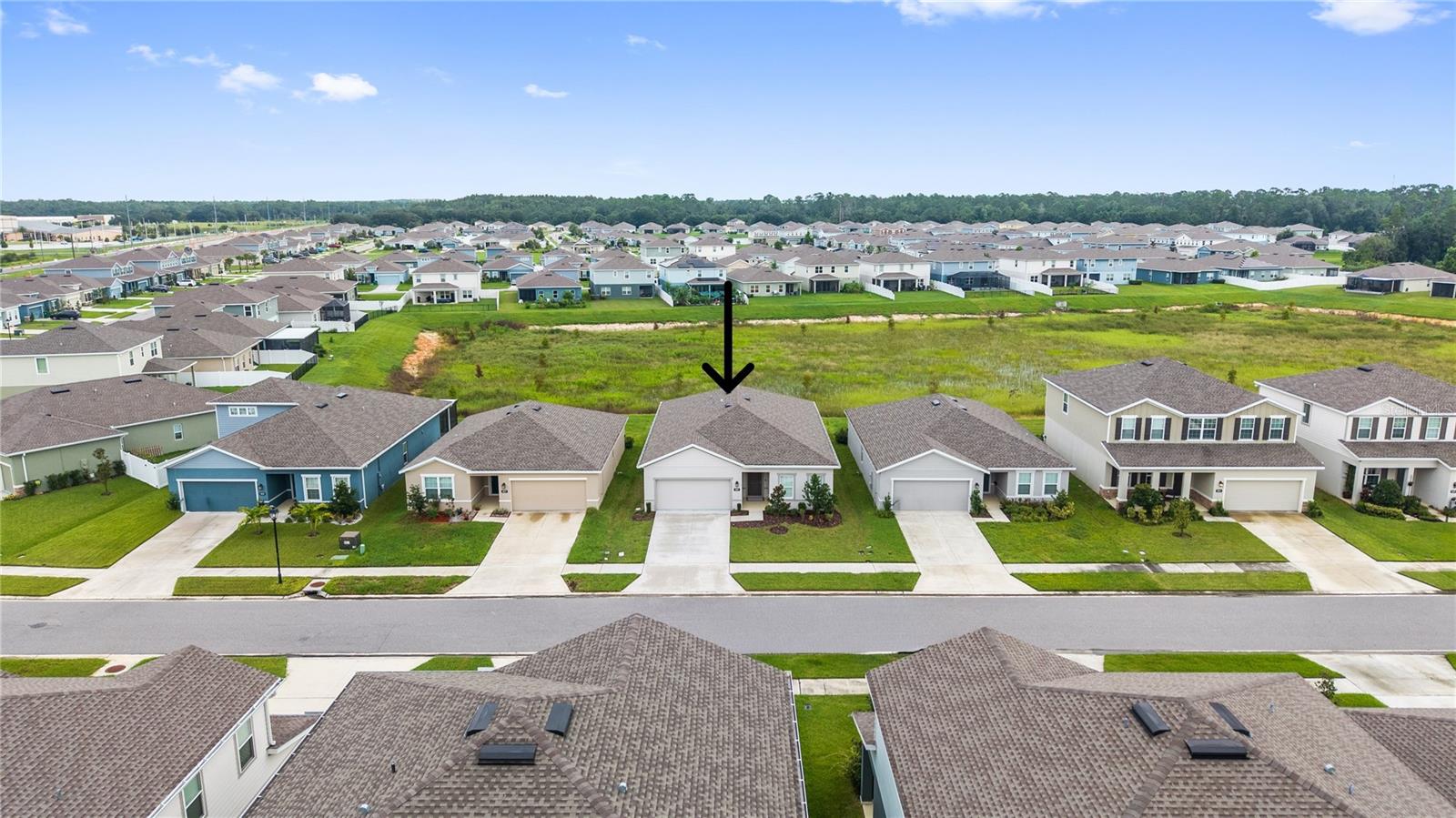 8249 Greenway Ave, Wesley Chapel, FL 33544 photo