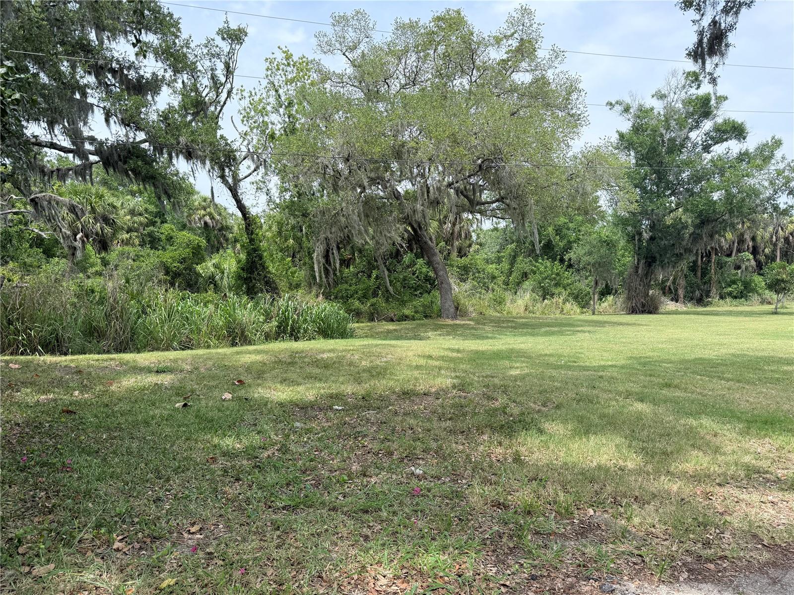 3208 16 Ave, Palmetto, FL 34221 photo