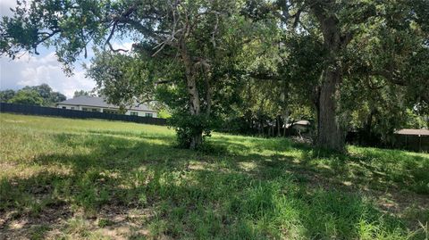  in LAKE ALFRED FL 364 S CAROLINA AVENUE.jpg