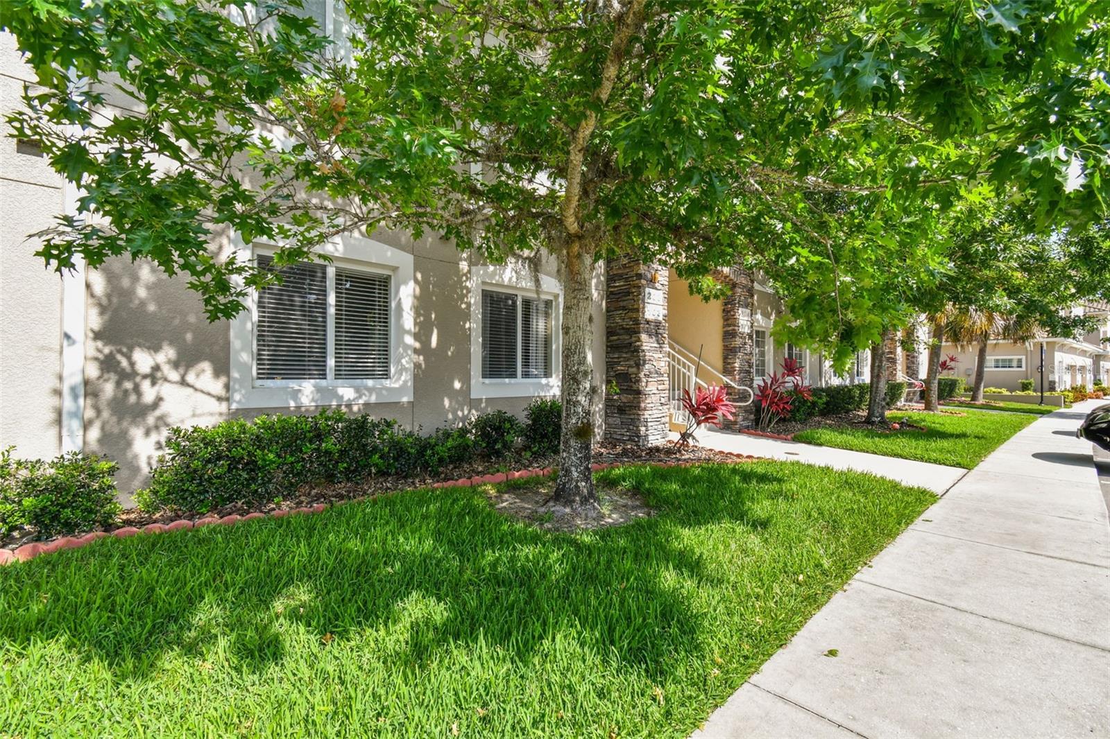 1231 Godavari Way #103, Wesley Chapel, FL 33543 photo