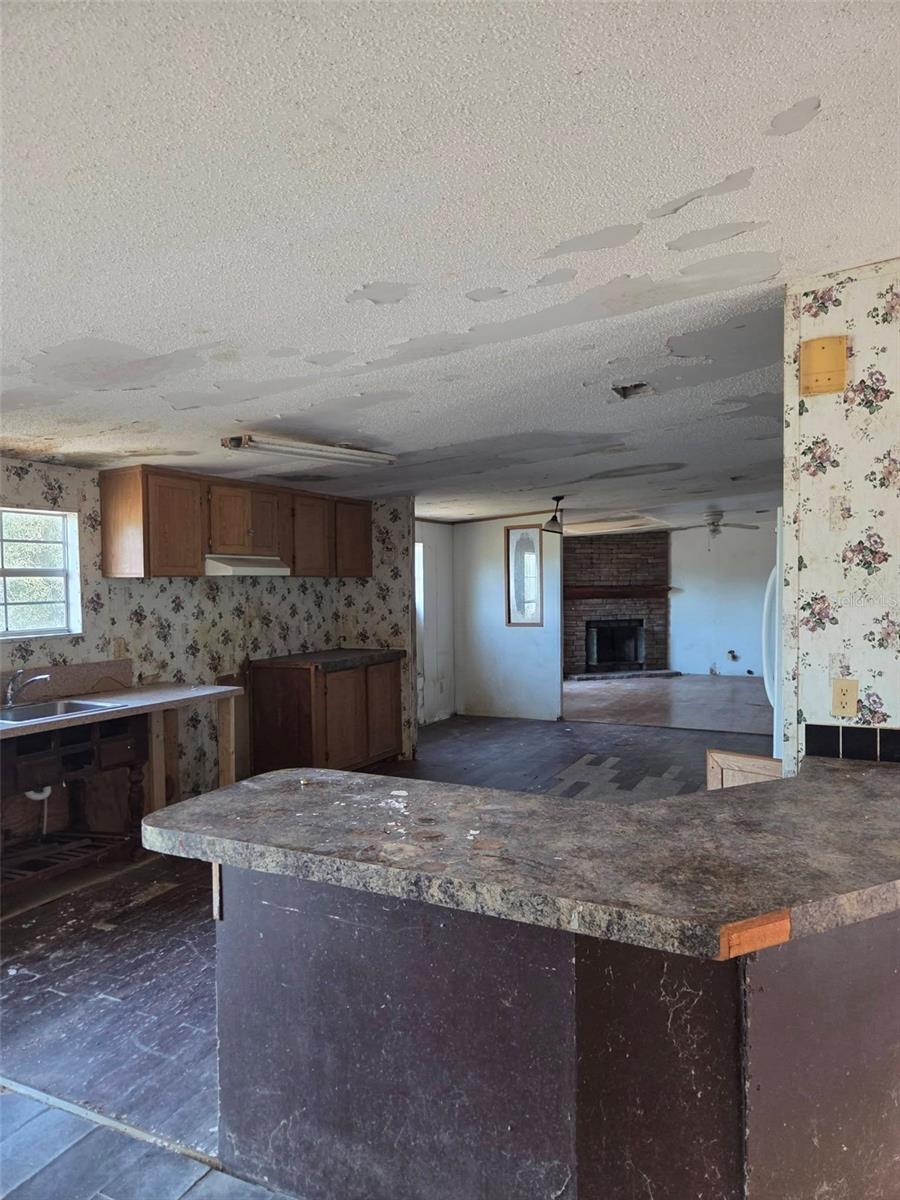10543 Denton Ave, Hudson, FL 34667 photo