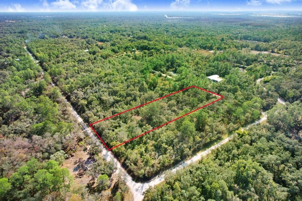 7292 Sonia Ave, Webster, FL 33597 photo