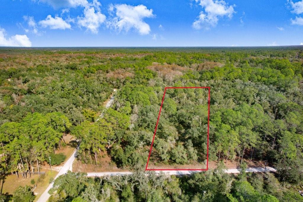 7292 Sonia Ave, Webster, FL 33597