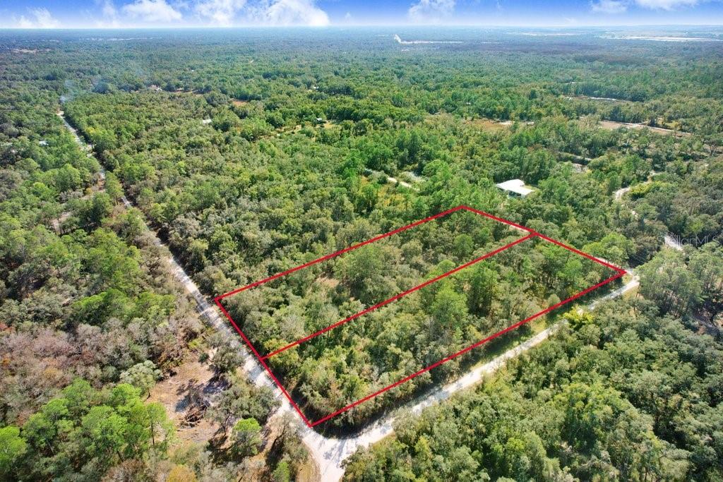 7292 Sonia Ave, Webster, FL 33597 photo