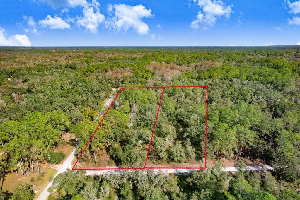 7292 Sonia Ave, Webster, FL 33597 photo
